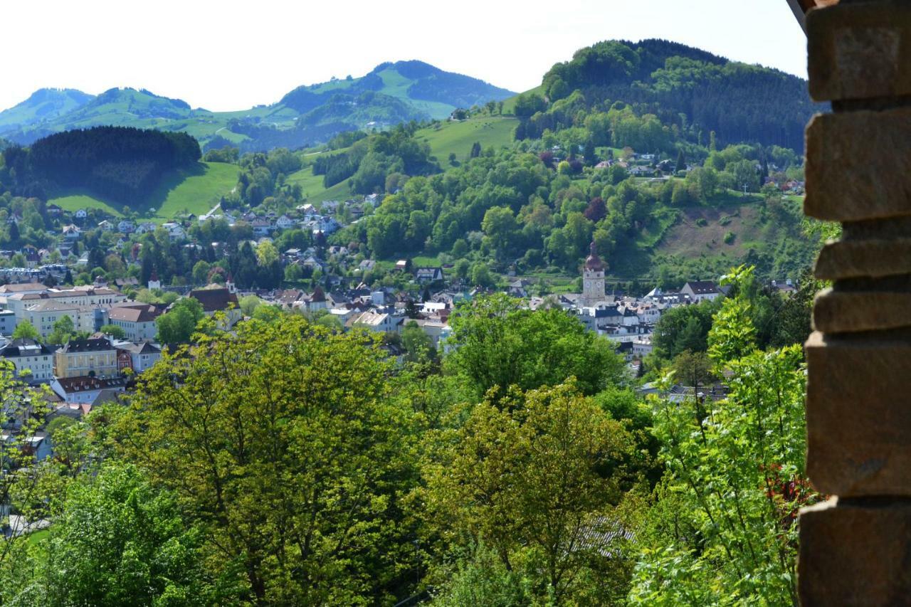 Appartement Kohlnberger Waidhofen an der Ybbs Exterior foto